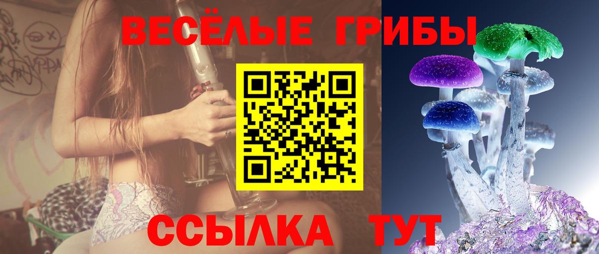 Галлюциногенные грибы Psilocybine cubensis  Вход с VPN  Фролово  где купить   Псилоцибиновые грибы Cubensis 